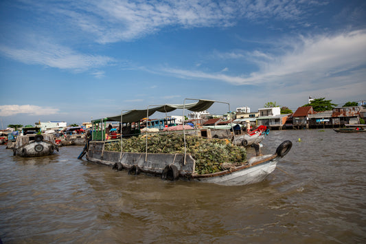 Water Market #7