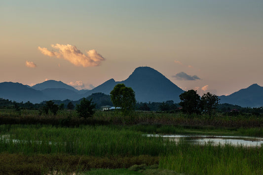 Kayan #9