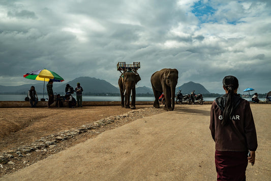 Kayan #3 elephants