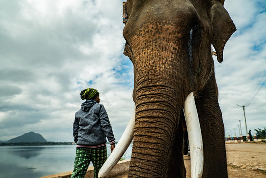 Kayan #5 elephant #2
