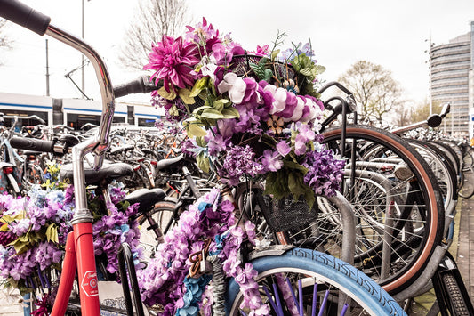 Amsterdam #01